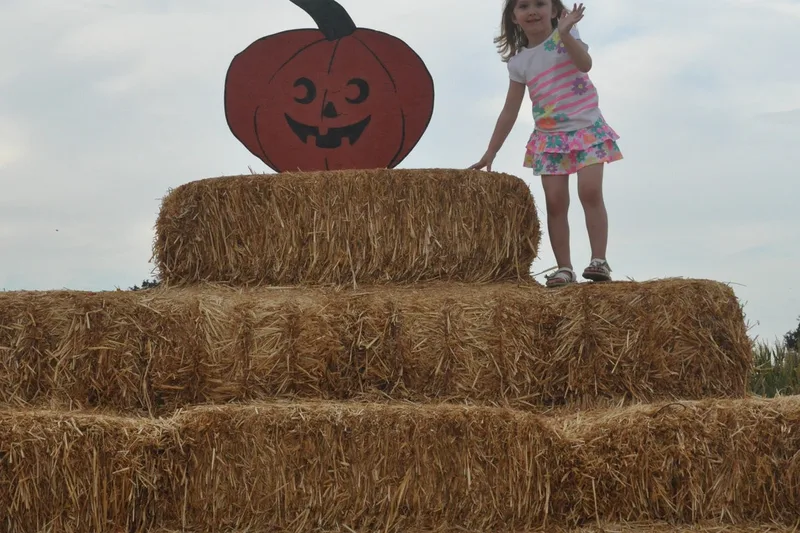 Bobby Dazzler's Pumpkin Patch and Milo Maze photo