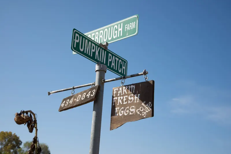 Chesebrough Farm photo