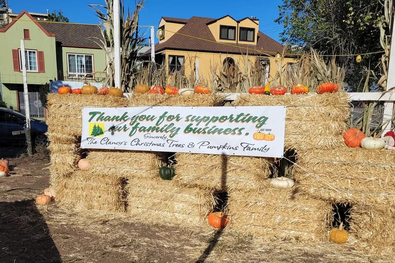 Clancy's Christmas Trees & Pumpkin Patch photo