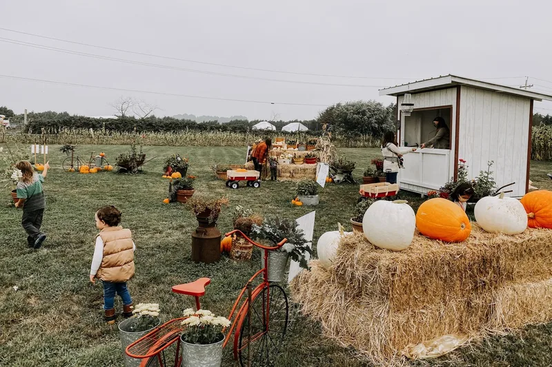 Huddie's Harvest