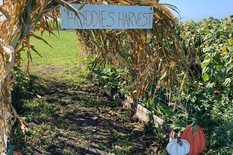 Huddie's Harvest photo