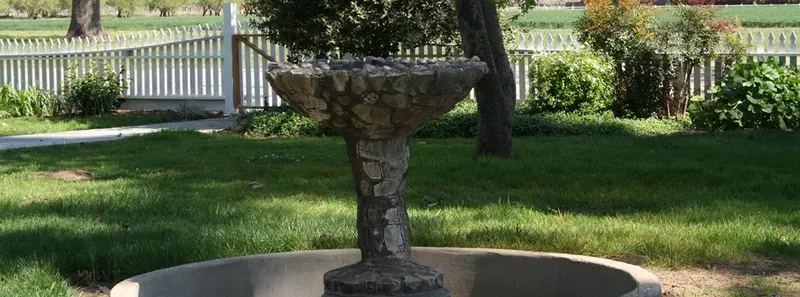 Patrick Ranch Museum photo
