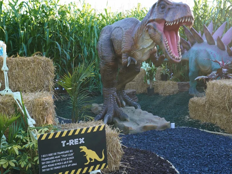 Tanaka Farms photo