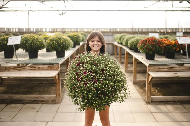 Benoit Greenhouses