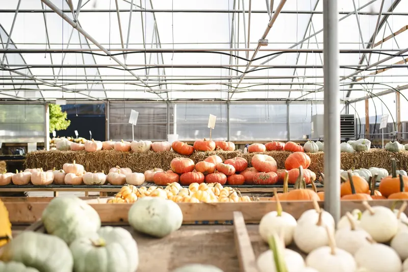 Benoit Greenhouses photo