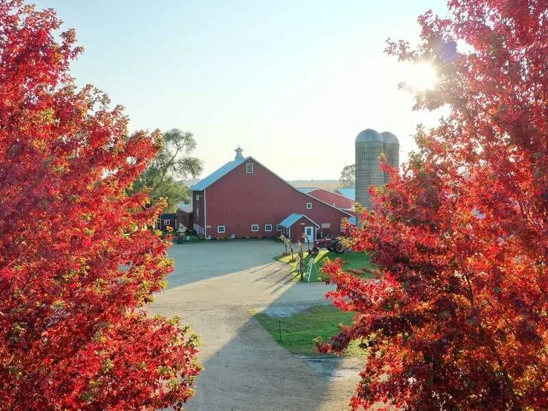Edwards Apple Orchard West photo