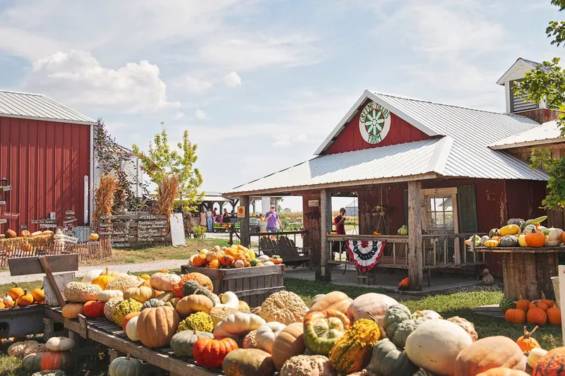 Greene Fields Farm