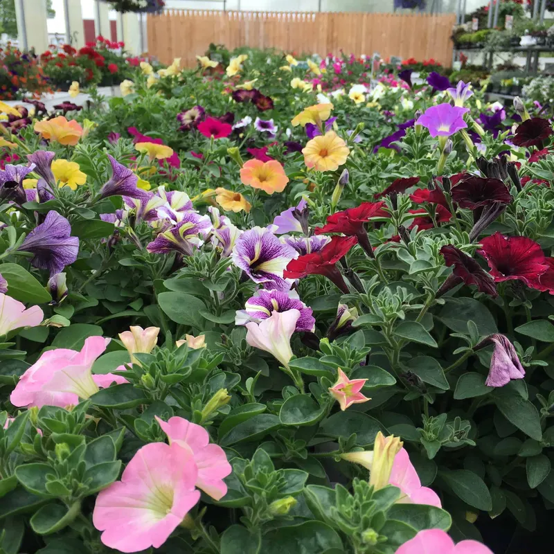 Kellers Farmstand