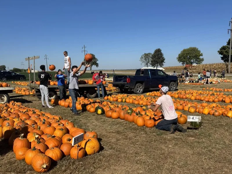 Negangard Pumpkin Patch photo