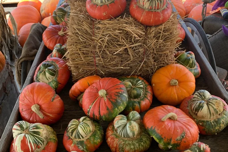Puckerville Farms