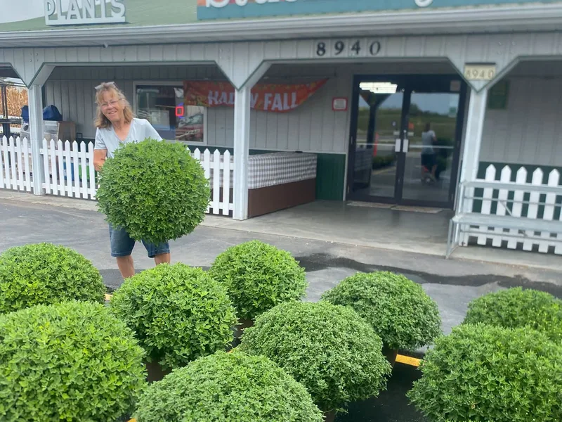Stuckmeyer's Plants & Produce