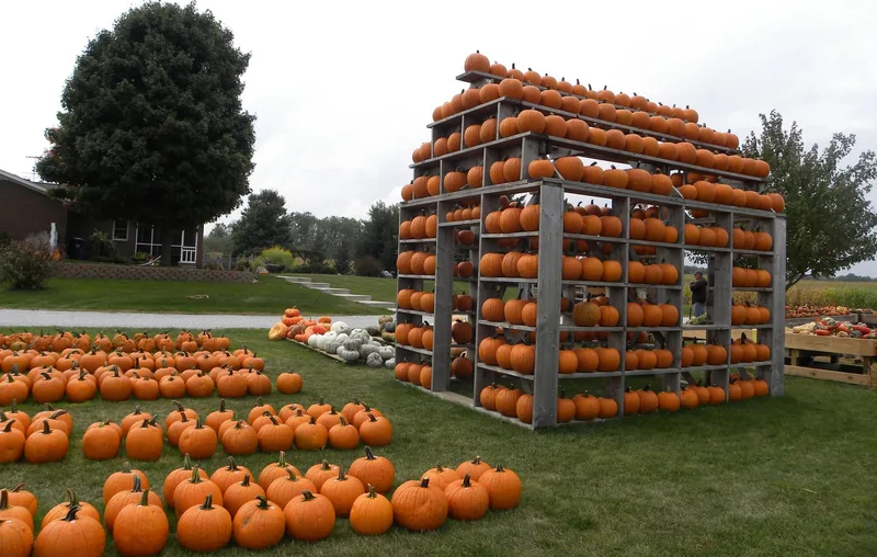 Fischer Farm