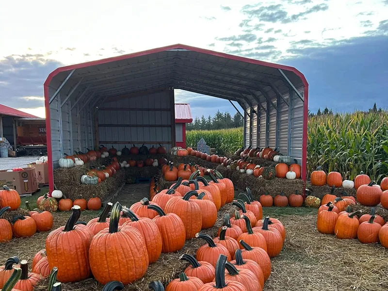 Davis Farms 123 photo
