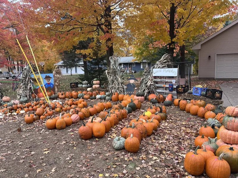 Grandma O's Pumpkin Patch photo