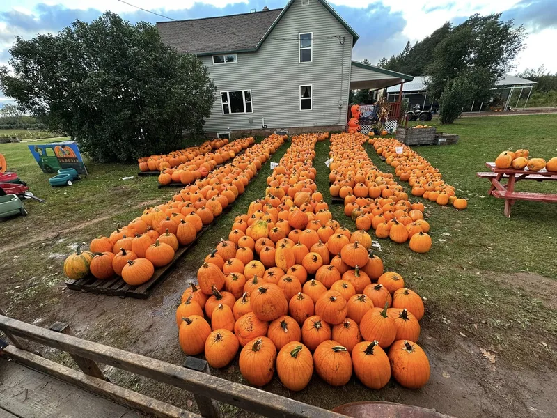 Hulkkonen Farm Pumpkin Patch