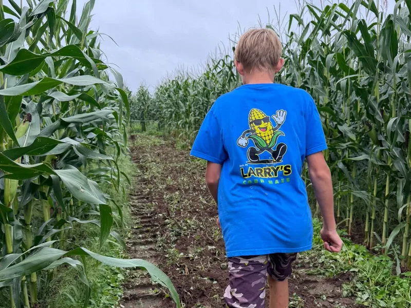Larry's Corn Maze photo