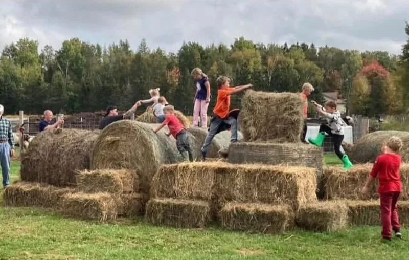 Red Barn Farm