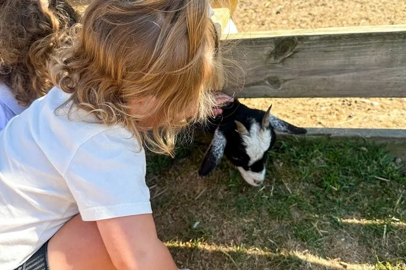 Upland Hills Farm photo