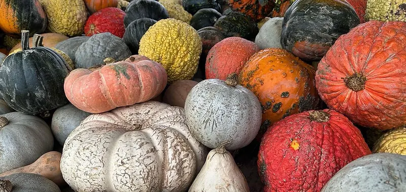 A Red Wagon Farm Market