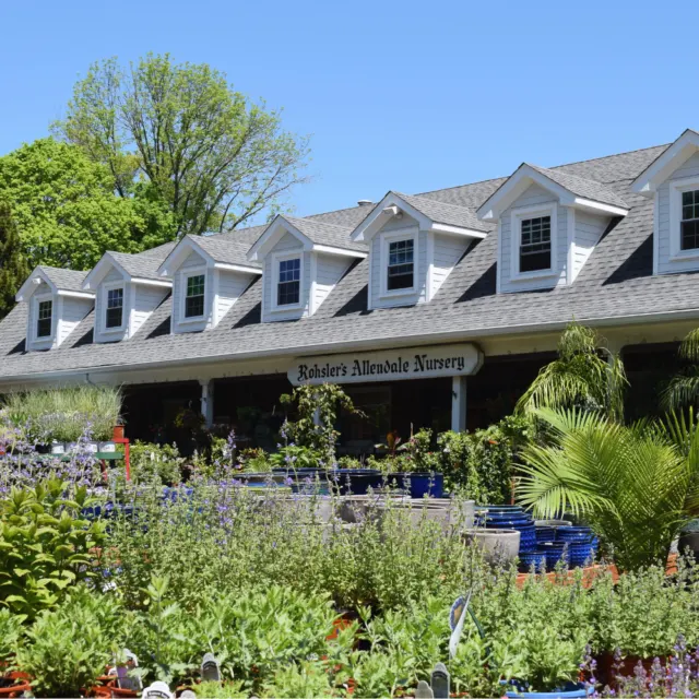 Rohsler's Allendale Nursery and Florist