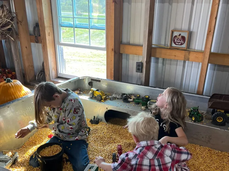 ELMER CREEK FARM