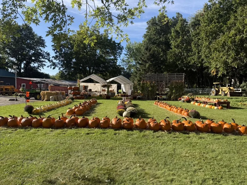 Harvest Hill Farms photo