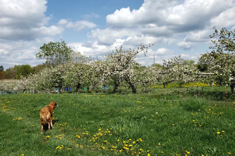 Hurds Family Farm photo