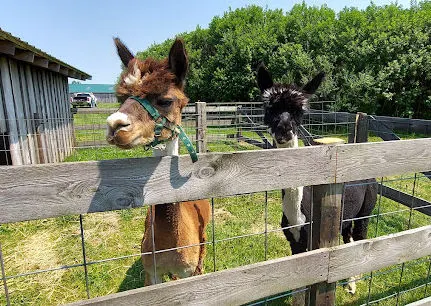 Springside Farm