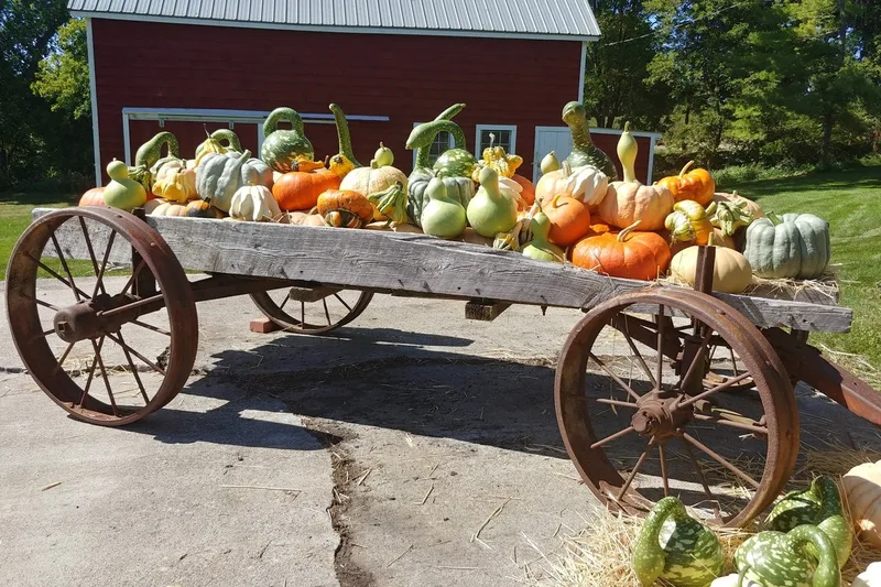 Starlight Acres Farm