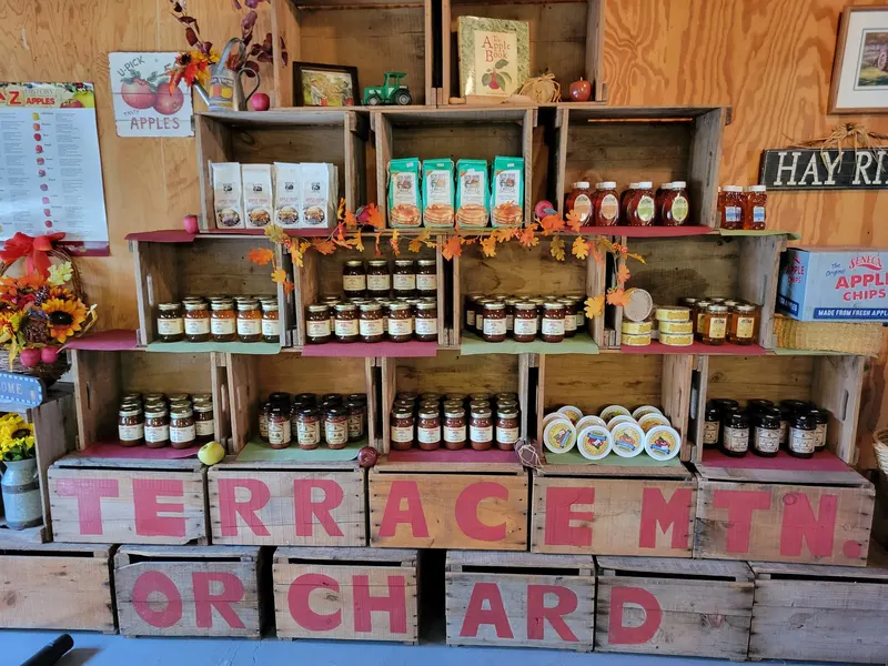 Terrace Mountain Orchard photo