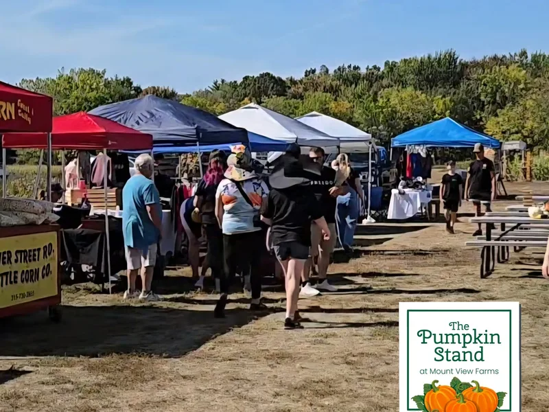 The Pumpkin Stand photo