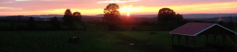 Wilkens Fruit & Fir Farm photo