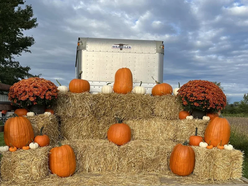 Badger's Pumpkin Farm
