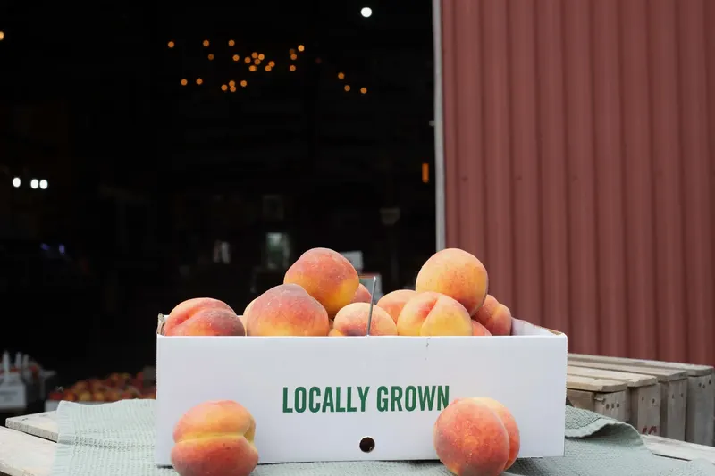 Burnham Orchards