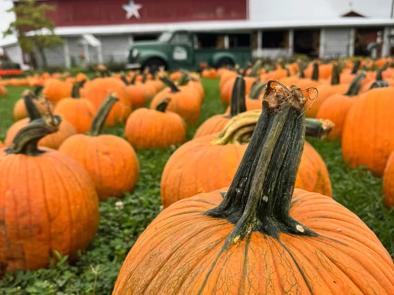 Fulton Farms photo