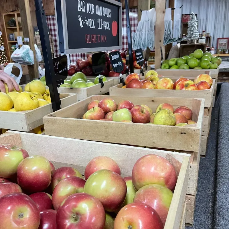 Hartford Orchards Fall Fun photo
