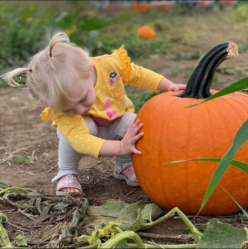 Hillcrest Orchards