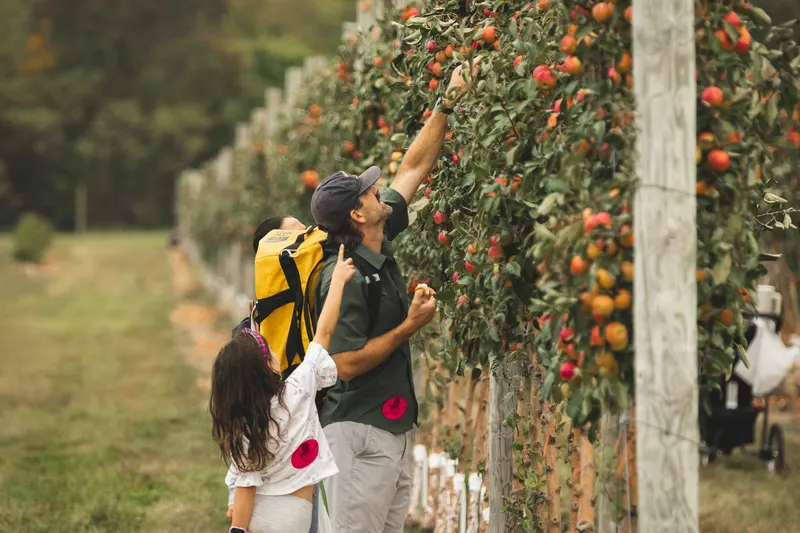 Hillcrest Orchards photo