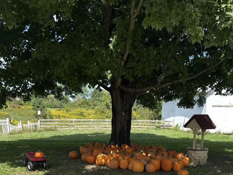 Iron's Fruit Farm