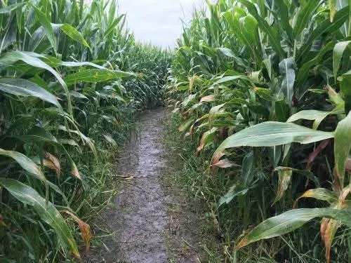 J & J Rietschlin Farm photo