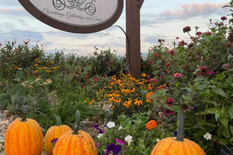 Libby's Pumpkin Patch photo