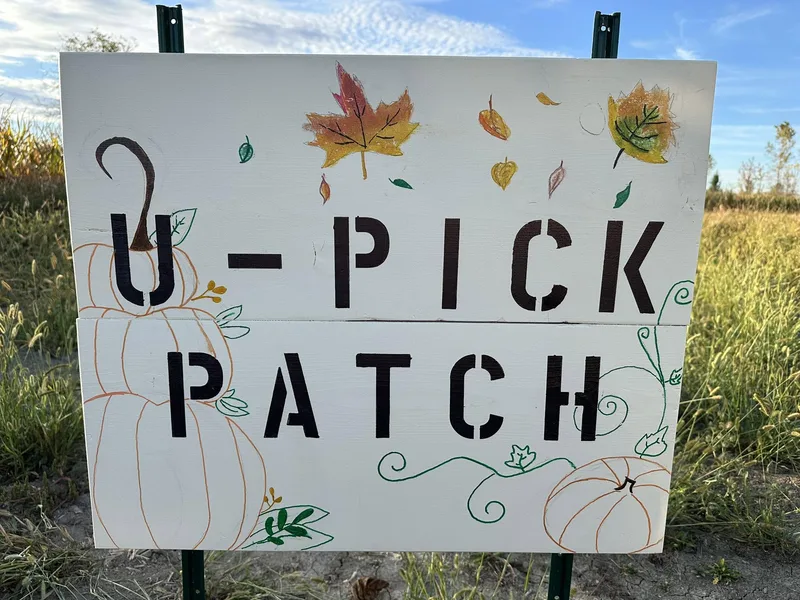 Nelson's Pumpkins photo
