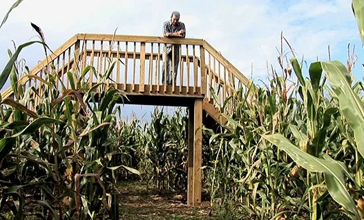 Chad's Corn Maze photo