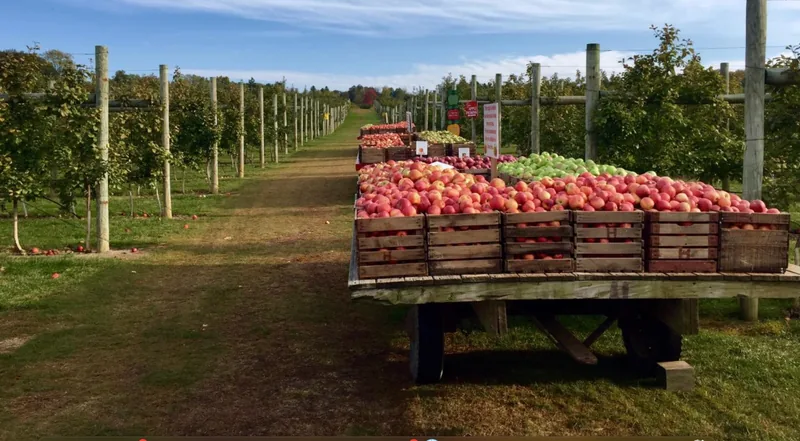 Grim's Orchard & Family Farms