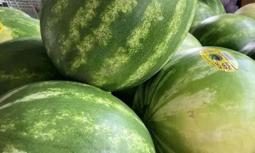 Risser-Marvel Farm Market
