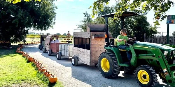 Denton Valley Farms photo