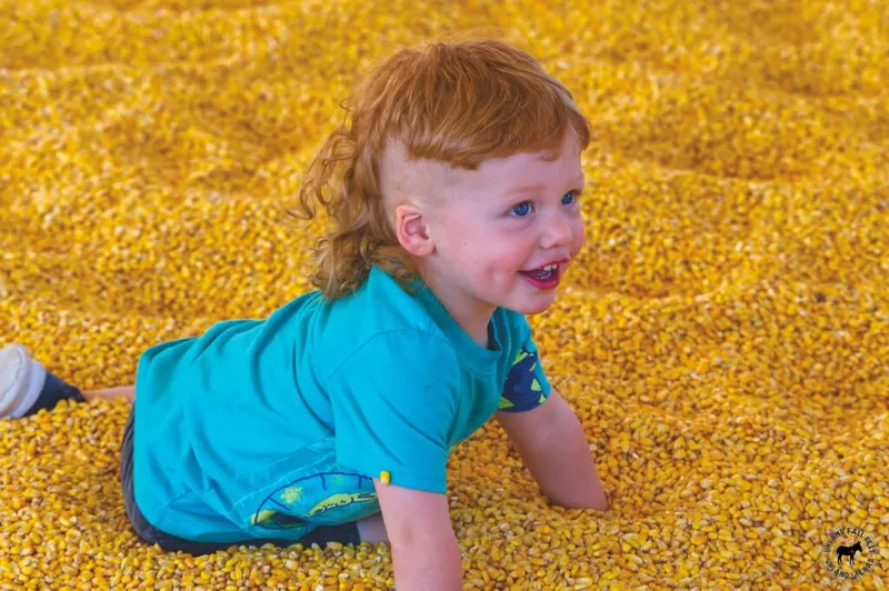 Uhland Fall Fest photo